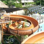 8 Waves Waterpark Safari Slide