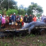 312031_171960119548582_171944429550151_343897_1405074235_n